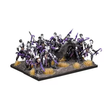 Kings of War - Twilight Kin Corsairs Regiment-MGKWV301