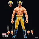 Marvel Legends Series Wolverine, Marvel Studios' Deadpool & Wolverine Movie-G21145L0