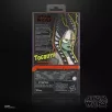 STAR WARS The Black Series Togruta (Halloween Edition)-G33325L0