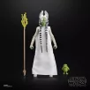 STAR WARS The Black Series Togruta (Halloween Edition)-G33325L0