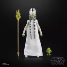 STAR WARS The Black Series Togruta (Halloween Edition)-G33325L0