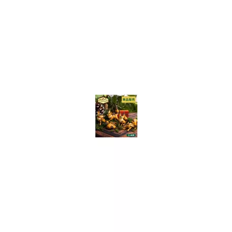 Castle in the Sky - Blind Box Figure (CDU of 6) - Fox Squirrel-BENELIC-54747