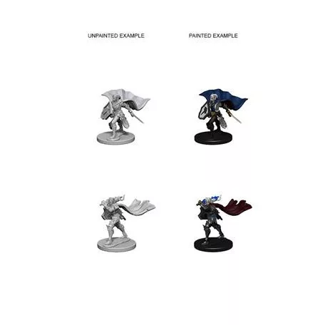 Pathfinder Deep Cuts Unpainted Miniatures - Elf Female Paladin-WZK72609