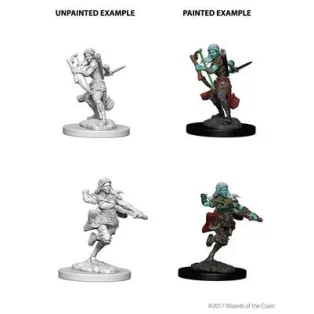 D&D Nolzur’s Marvelous Miniatures: Air Genasi Female Rogue-73204