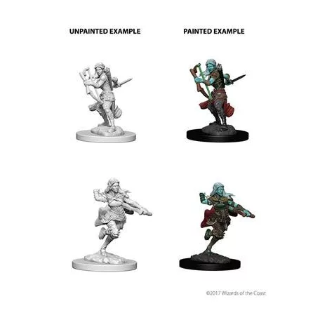 D&D Nolzur’s Marvelous Miniatures: Air Genasi Female Rogue-73204