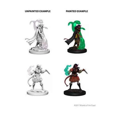 D&D Nolzur’s Marvelous Miniatures: Tiefling Female Sorcerer-73202