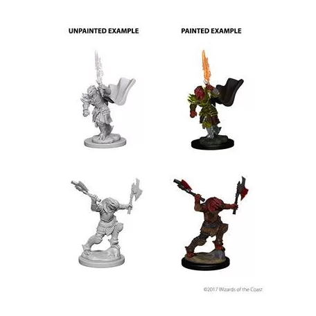 D&D Nolzur’s Marvelous Miniatures: Dragonborn Female Fighter-73199