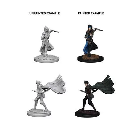 Pathfinder Deep Cuts Unpainted Miniatures - Elf Female Rogue-WZK73187