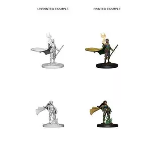 D&D Nolzur’s Marvelous Miniatures: Elf Female Druid-72642
