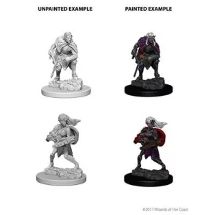 D&D Nolzur’s Marvelous Miniatures: Drow-73189