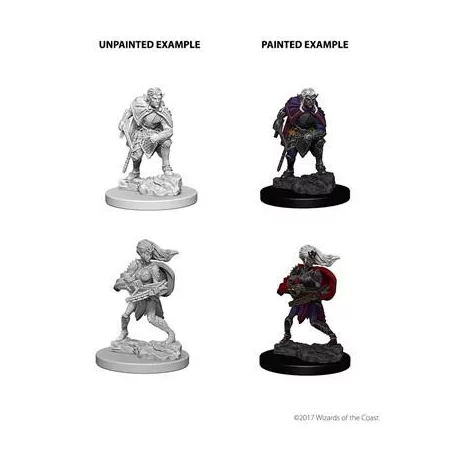 D&D Nolzur’s Marvelous Miniatures: Drow-73189