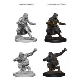 Pathfinder Battles Deep Cuts: Human Male Rouge-72602
