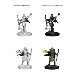 Pathfinder Battles Deep Cuts: Elf Male Sorcerer-72605