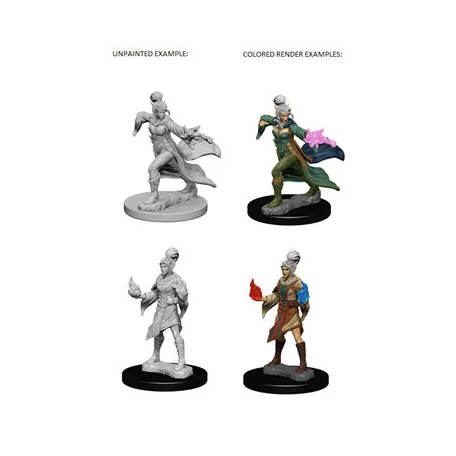 Pathfinder Battles Deep Cuts: Elf Female Sorcerer-72606