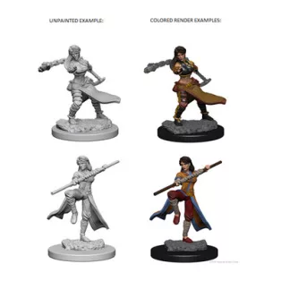 D&D Nolzur’s Marvelous Miniatures: Human Female Monk - EN-WZK72634