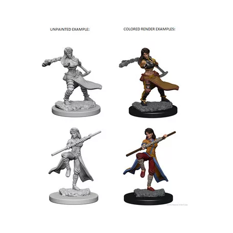 D&D Nolzur’s Marvelous Miniatures: Human Female Monk - EN-WZK72634