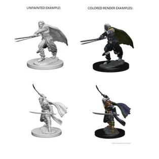 D&D Nolzur’s Marvelous Miniatures: Elf Male Ranger-72637