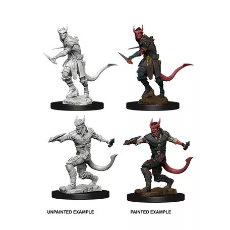 D&D Nolzur’s Marvelous Miniatures: Tiefling Male Rogue-73338