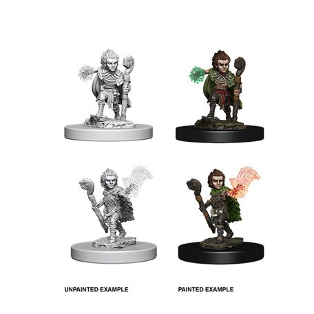 Pathfinder Deep Cuts Unpainted Miniatures - Gnome Male Druid-WZK73346
