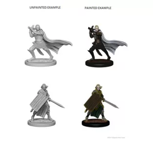 Pathfinder Battles Deep Cuts: Elf Male Paladin-72608