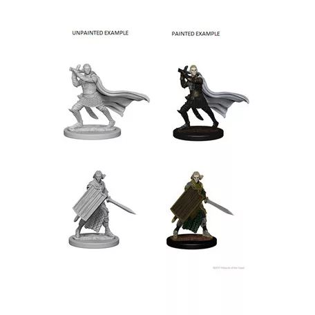 Pathfinder Battles Deep Cuts: Elf Male Paladin-72608