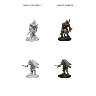 D&D Nolzur’s Marvelous Miniatures: Human Male Paladin-72629
