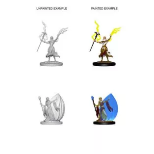 D&D Nolzur’s Marvelous Miniatures: Elf Female Wizard-72623