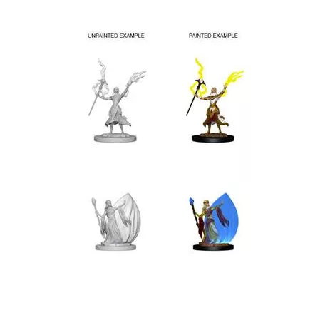 D&D Nolzur’s Marvelous Miniatures: Elf Female Wizard-72623