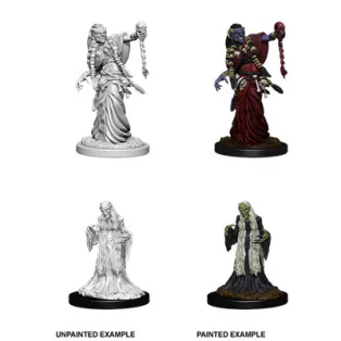 D&D Nolzur’s Marvelous Miniatures: Green Hag & Night Hag-73402