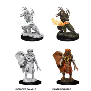 D&D Nolzur’s Marvelous Miniatures: Male Human Druid-73390