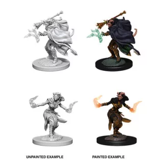 D&D Nolzur’s Marvelous Miniatures: Female Tiefling Warlock-73389