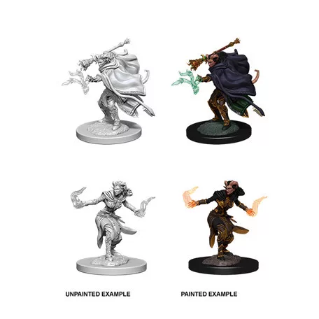 D&D Nolzur’s Marvelous Miniatures: Female Tiefling Warlock-73389
