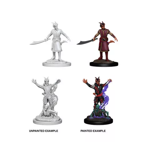 D&D Nolzur’s Marvelous Miniatures: Male Tiefling Warlock-73388