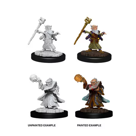 D&D Nolzur’s Marvelous Miniatures: Male Gnome Wizard-73382