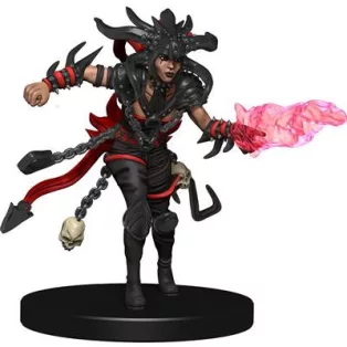 D&D Icons of the Realms: Guildmasters' Guide to Ravnica Companion Starter Two-73116