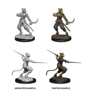 D&D Nolzur’s Marvelous Miniatures: Male Tabaxi Rogue-73540