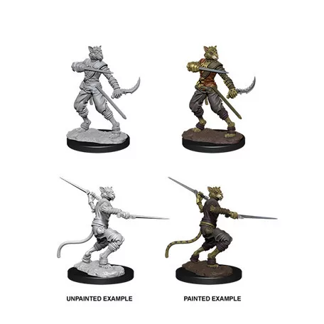 D&D Nolzur’s Marvelous Miniatures: Male Tabaxi Rogue-73540