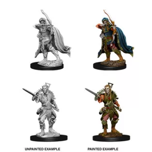 D&D Nolzur’s Marvelous Miniatures: Male Elf Rogue-73539