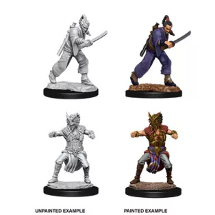 D&D Nolzur's Marvelous Miniatures - Male Human Monk-73670