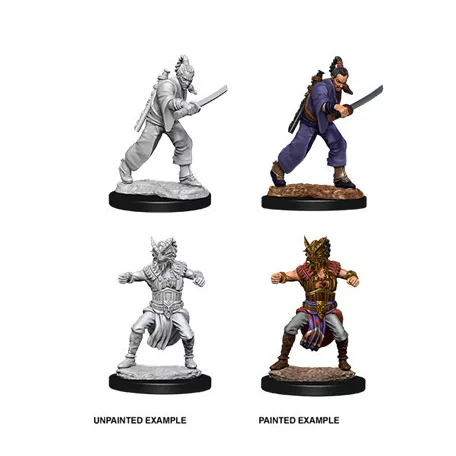 D&D Nolzur's Marvelous Miniatures - Male Human Monk-73670
