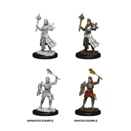 D&D Nolzur’s Marvelous Miniatures: Female Human Cleric-73671