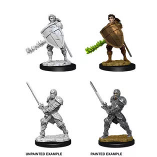 D&D Nolzur’s Marvelous Miniatures: Male Human Fighter-73673