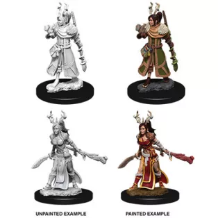 D&D Nolzur’s Marvelous Miniatures: Female Human Druid-73701