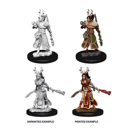 D&D Nolzur’s Marvelous Miniatures: Female Human Druid-73701