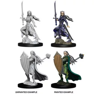 D&D Nolzur’s Marvelous Miniatures: Female Elf Paladin-73706