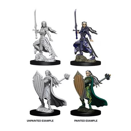 D&D Nolzur’s Marvelous Miniatures: Female Elf Paladin-73706