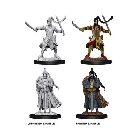 D&D Nolzur’s Marvelous Miniatures: Male Elf Paladin-73707