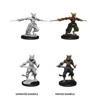 D&D Nolzur’s Marvelous Miniatures: Female Tabaxi Rogue-73708