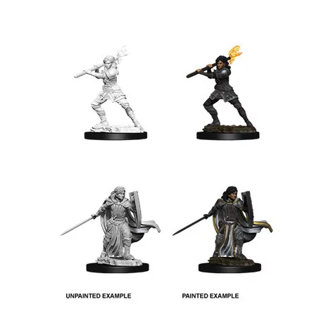 D&D Nolzur’s Marvelous Miniatures: Female Human Paladin-73830