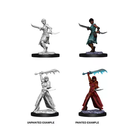 D&D Nolzur’s Marvelous Miniatures: Female Human Rogue-73831
